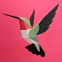 Pássaro em papel 3D da Plego. Coliancho beija-flor
