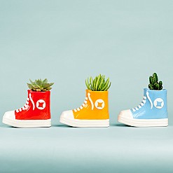 All Plant: vaso original em forma de chinelo