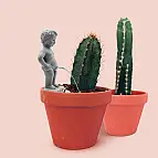 Decoração para vasos: Pee My Plants