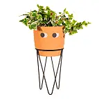 Perfeito para plantas de tamanho médio