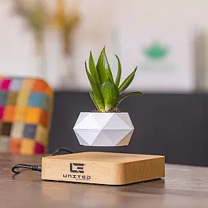 Vaso flutuante para plantas pequenas