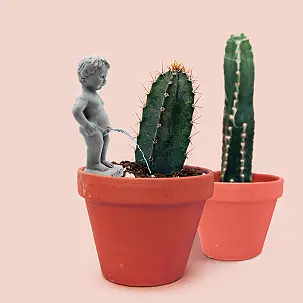 Decoração de vasos: Pee My Plants