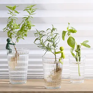 Conjunto de 3 estacas para plantas em forma de homenzinhos