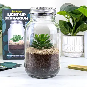 Kit para fazer um terrário com luz