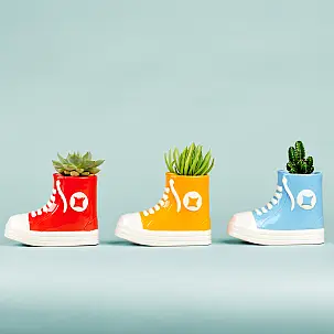 All Plant: vaso original em forma de chinelo