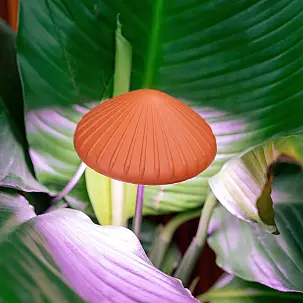 Luz para plantas de cogumelos