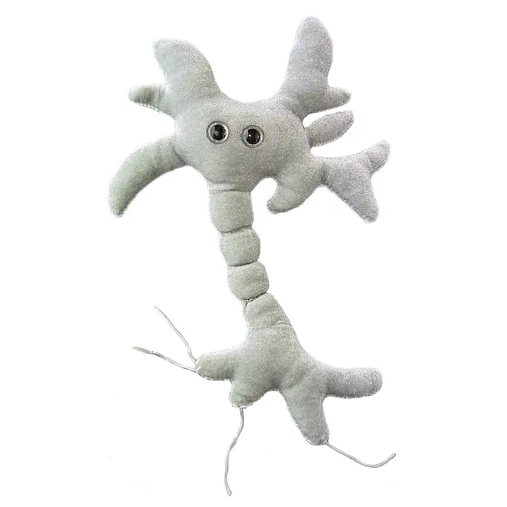 Peluche com células cerebrais