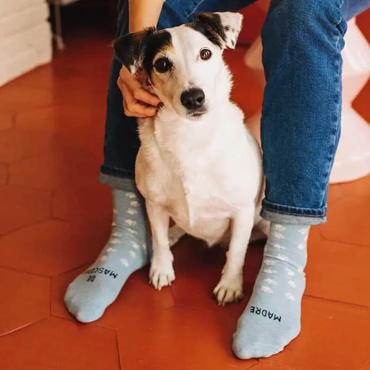 Meias originais para mães de mascotes