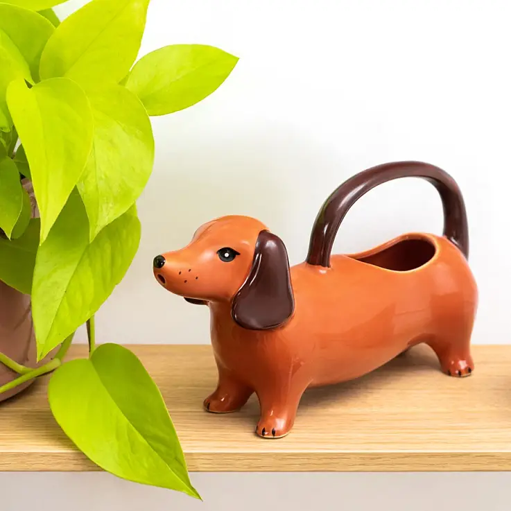 Regador original com a forma de um dachshund